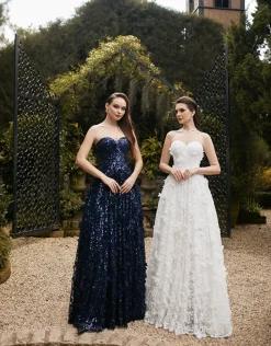 Formal / Prom Dresses | Gowns / Ballgowns<Bariano ADELA SWEETHEART PETAL BALL GOWN B41D01L