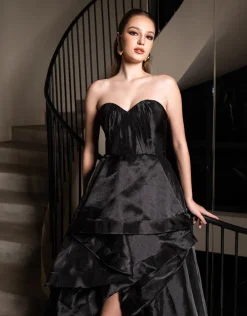 Maxi Dresses | All Dresses<Bariano ADELAIDE STRAPLESS HI LO GOWN B71D16HL