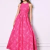 Maxi Dresses | All Dresses<Bariano AMALIE A LINE MAXI BL63D28L PINK