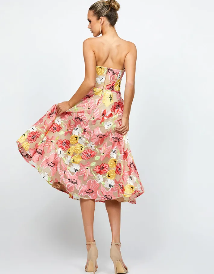 Midi Dresses<Bariano AMANDA STRAPLESS MIDI B74D36S FLORAL MULTI