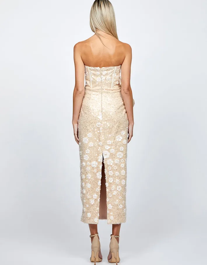 Midi Dresses | All Dresses<Bariano ASTER EMBROIDERED COLUMN MIDI B72D61S WHITE/NUDE