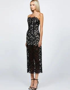 Midi Dresses | All Dresses<Bariano CLARISE FITTED STRAPLESS LACE MIDI BL68D42S BLACK/NUDE
