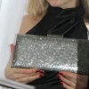 Clutches<Bariano GLIMMER CRYSTAL CLUTCH 1005-1C SILVER