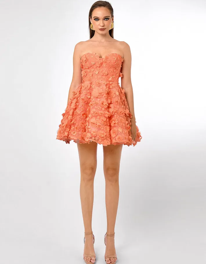 Mini Dresses | All Dresses<Bariano MARIA CORSET A LINE MINI B70D04S CORAL