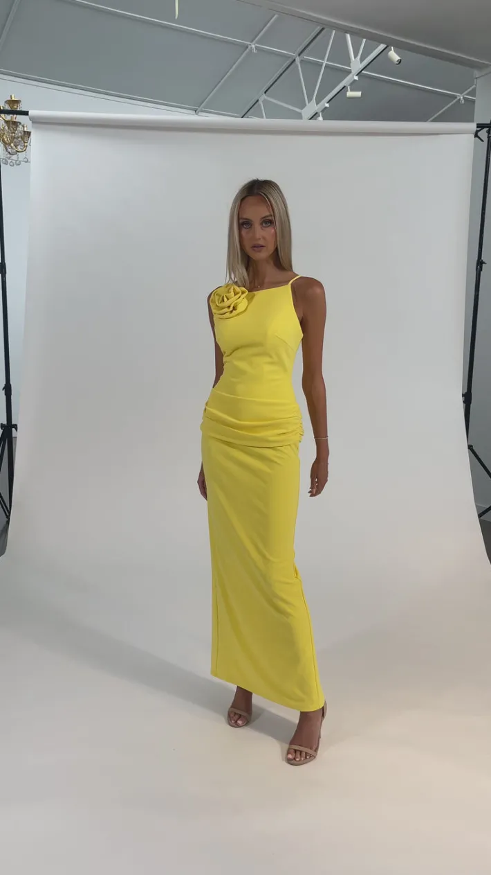 All Dresses | Maxi Dresses<Bariano MIYU HIGH NECK ROSETTE MAXI BL68D52L