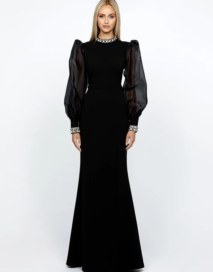 Long Sleeve Dresses | Gowns / Ballgowns<Bariano WINNIE SHEER SLEEVE GOWN B67D12L BLACK