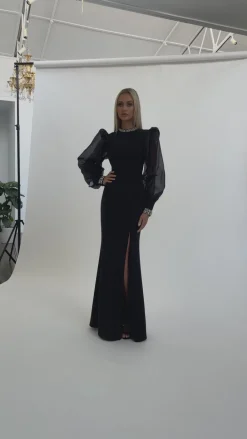 Long Sleeve Dresses | Gowns / Ballgowns<Bariano WINNIE SHEER SLEEVE GOWN B67D12L BLACK