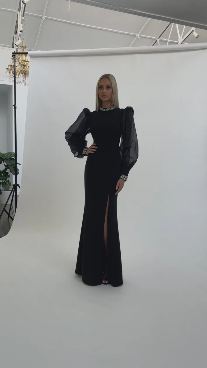 Long Sleeve Dresses | Gowns / Ballgowns<Bariano WINNIE SHEER SLEEVE GOWN B67D12L BLACK